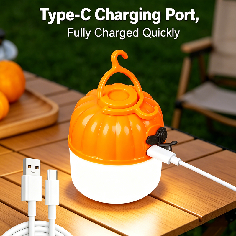 Миниатюрная портативная светод – обзор и цена Outdoor Lighting Electric